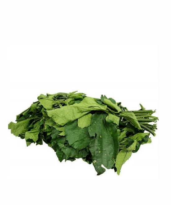 Fresh Uziza Leaf – Bunch